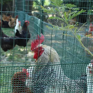 Veramaro,accogliente In Campagna Arezzo
